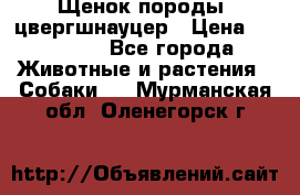 Щенок породы  цвергшнауцер › Цена ­ 30 000 - Все города Животные и растения » Собаки   . Мурманская обл.,Оленегорск г.